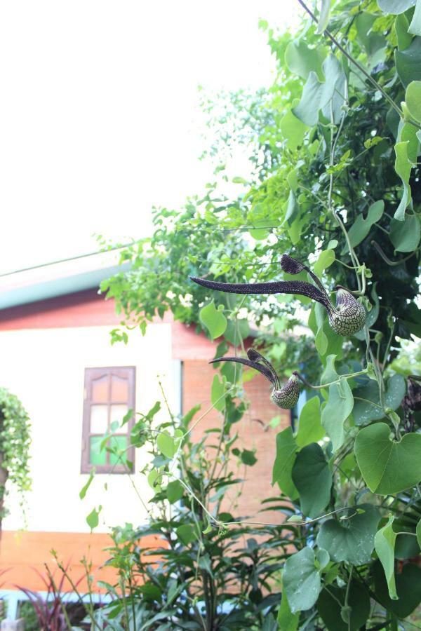 Pai Modern House Otel Dış mekan fotoğraf